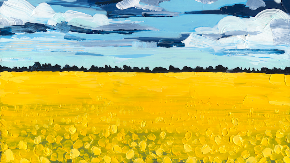 Sunseed Collection Release—Three Vast Canola Fields Under Stormy Skies