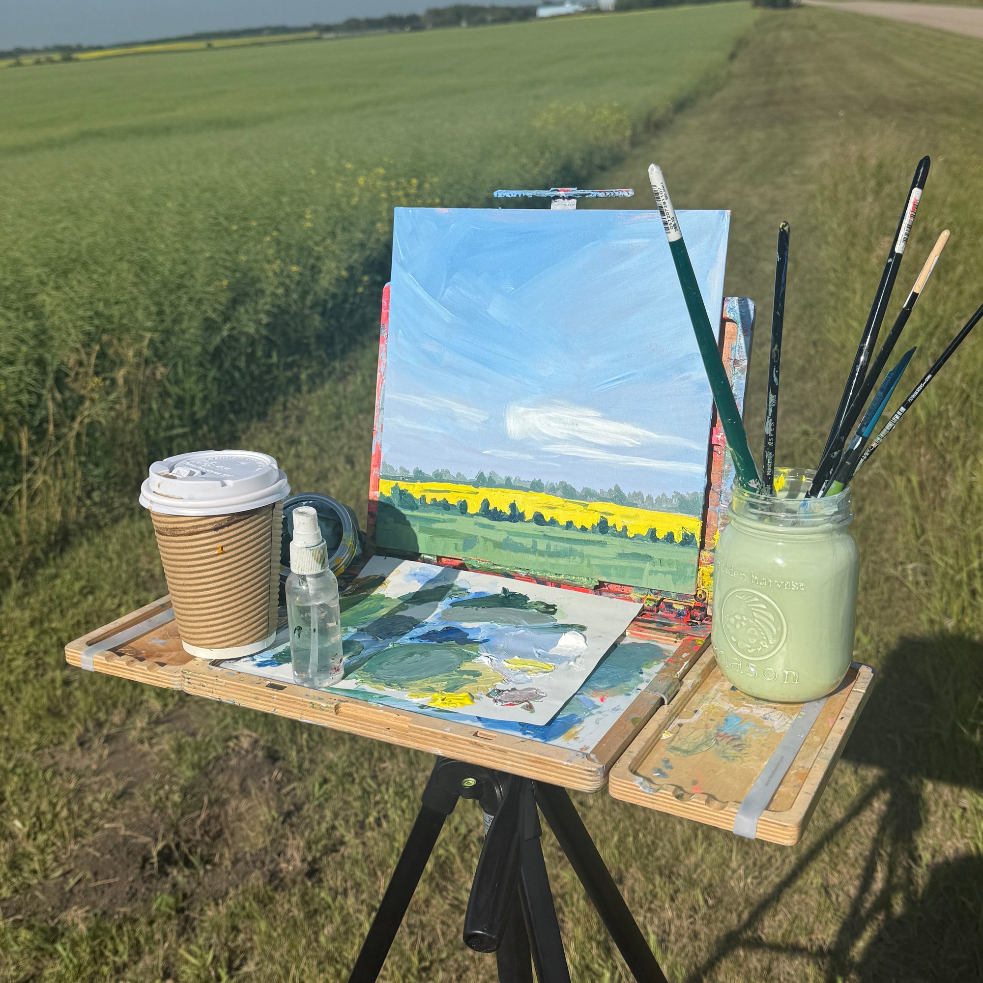 Summer Prairie II, 10x10, Framed