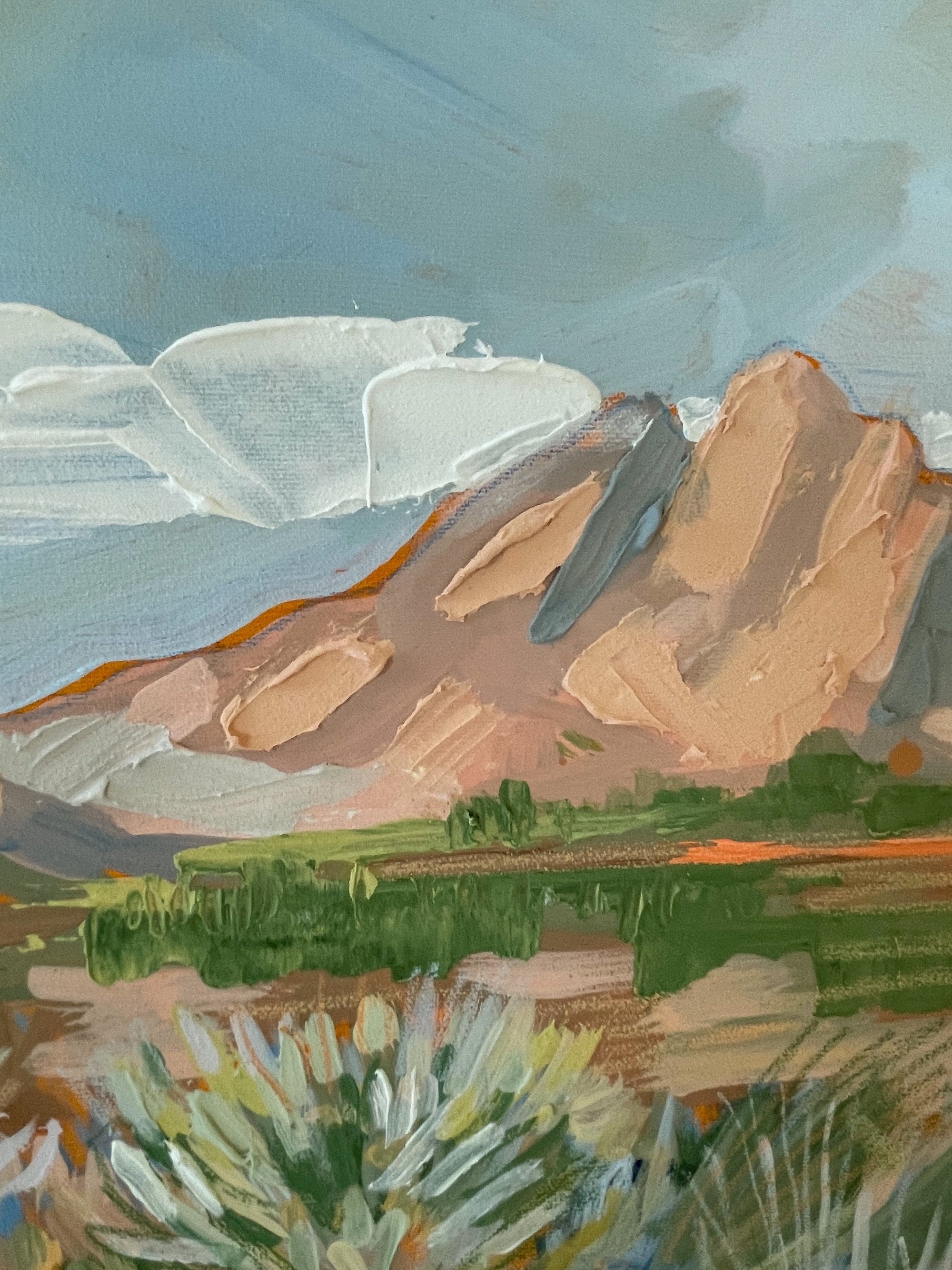 Desert Foliage, 18x24