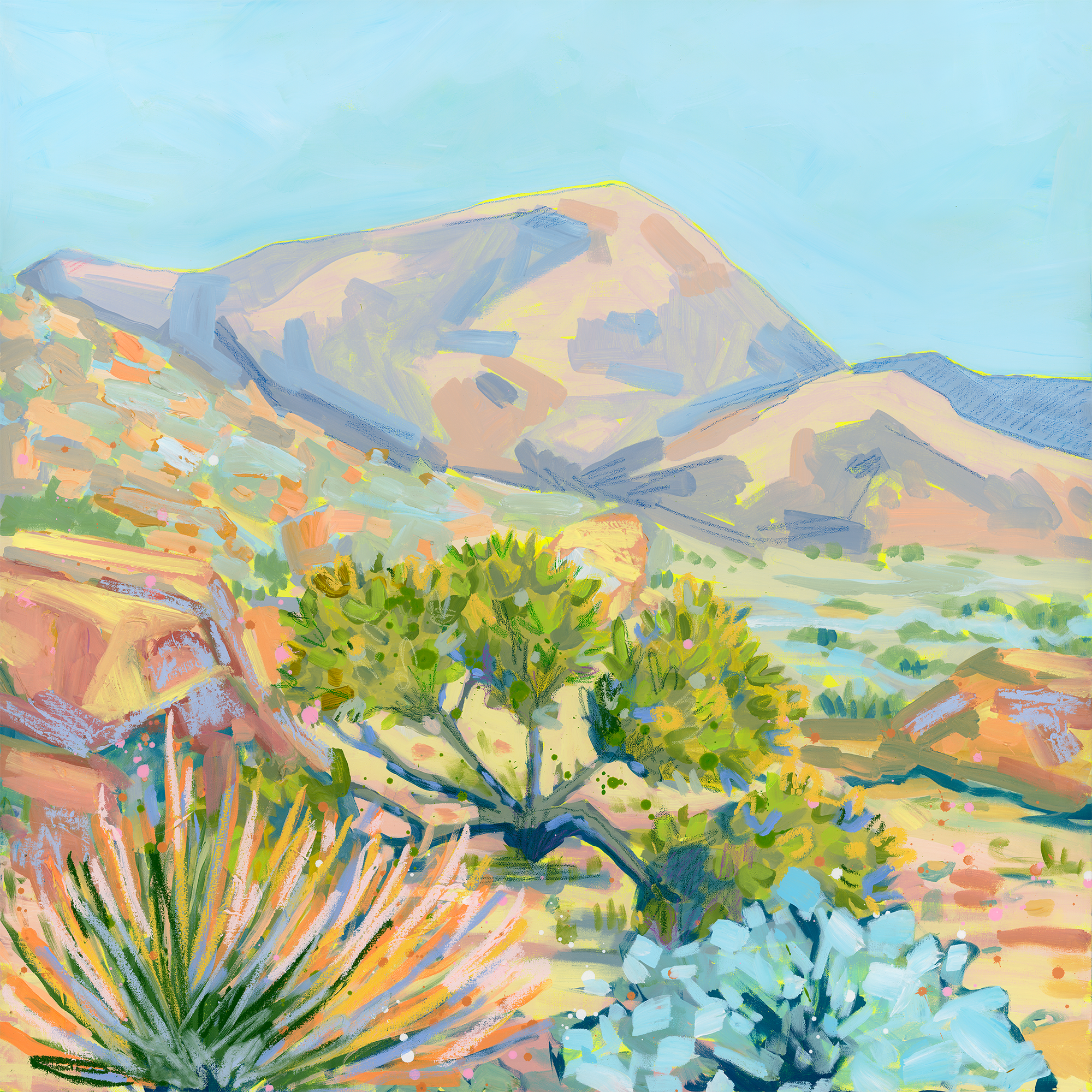 Desert Glow II, 36x36