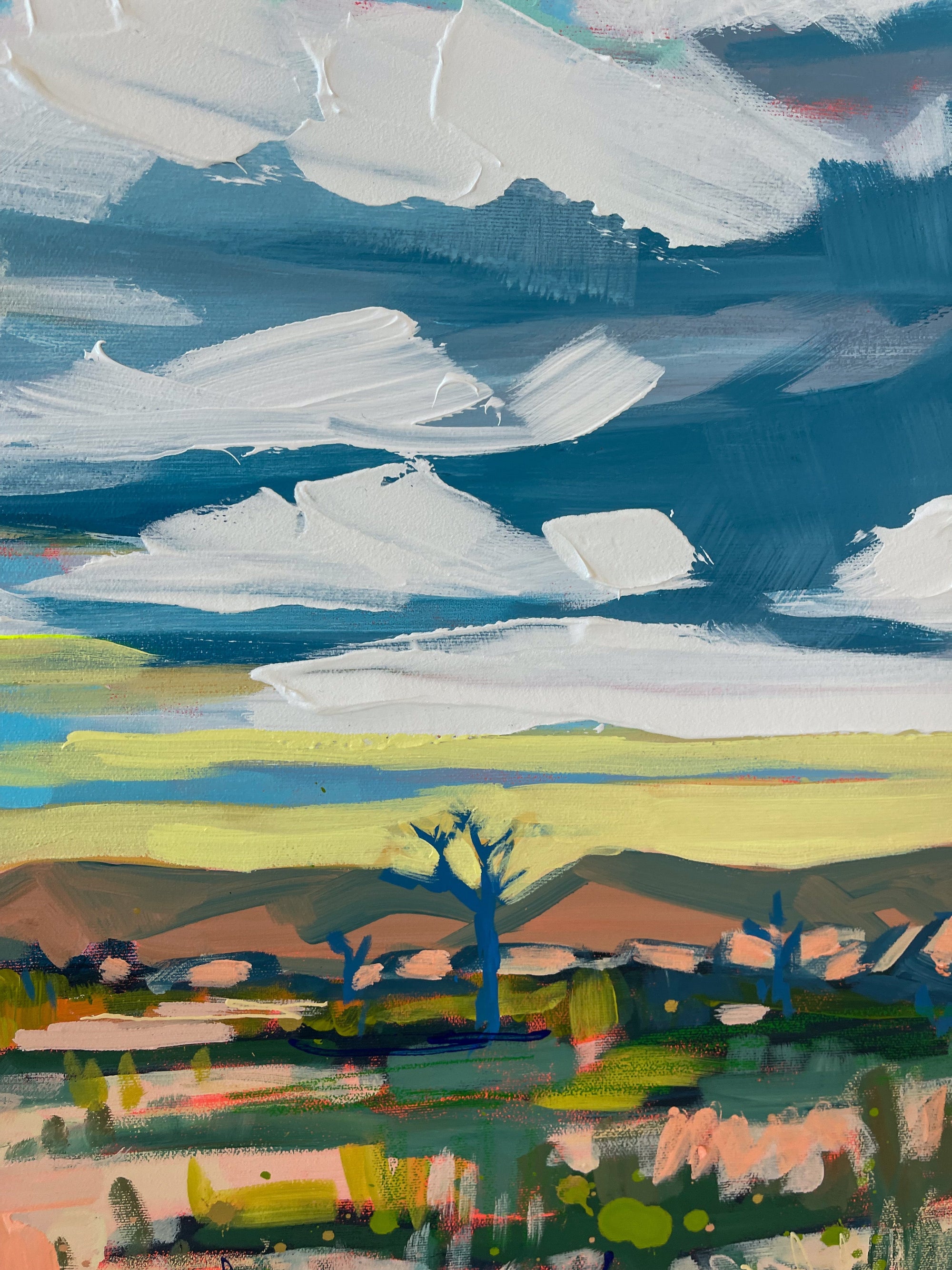 High Desert 24x36