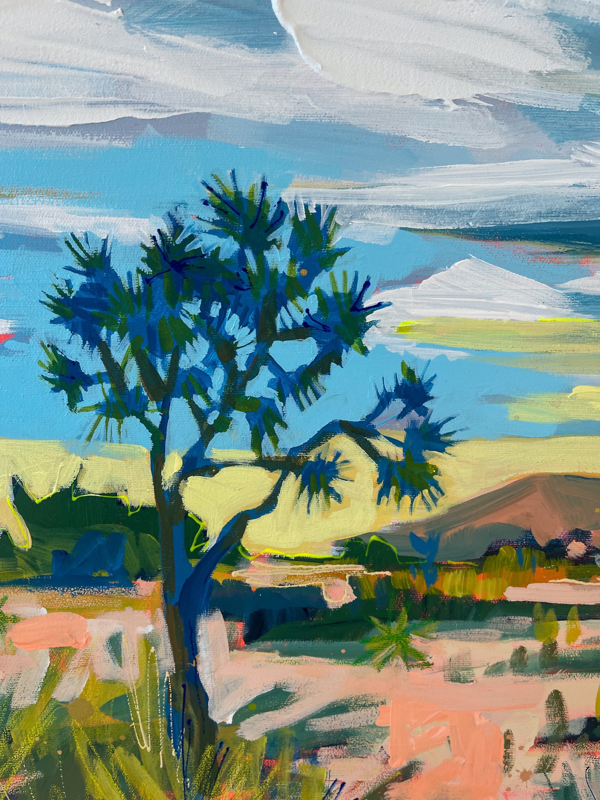 High Desert 24x36