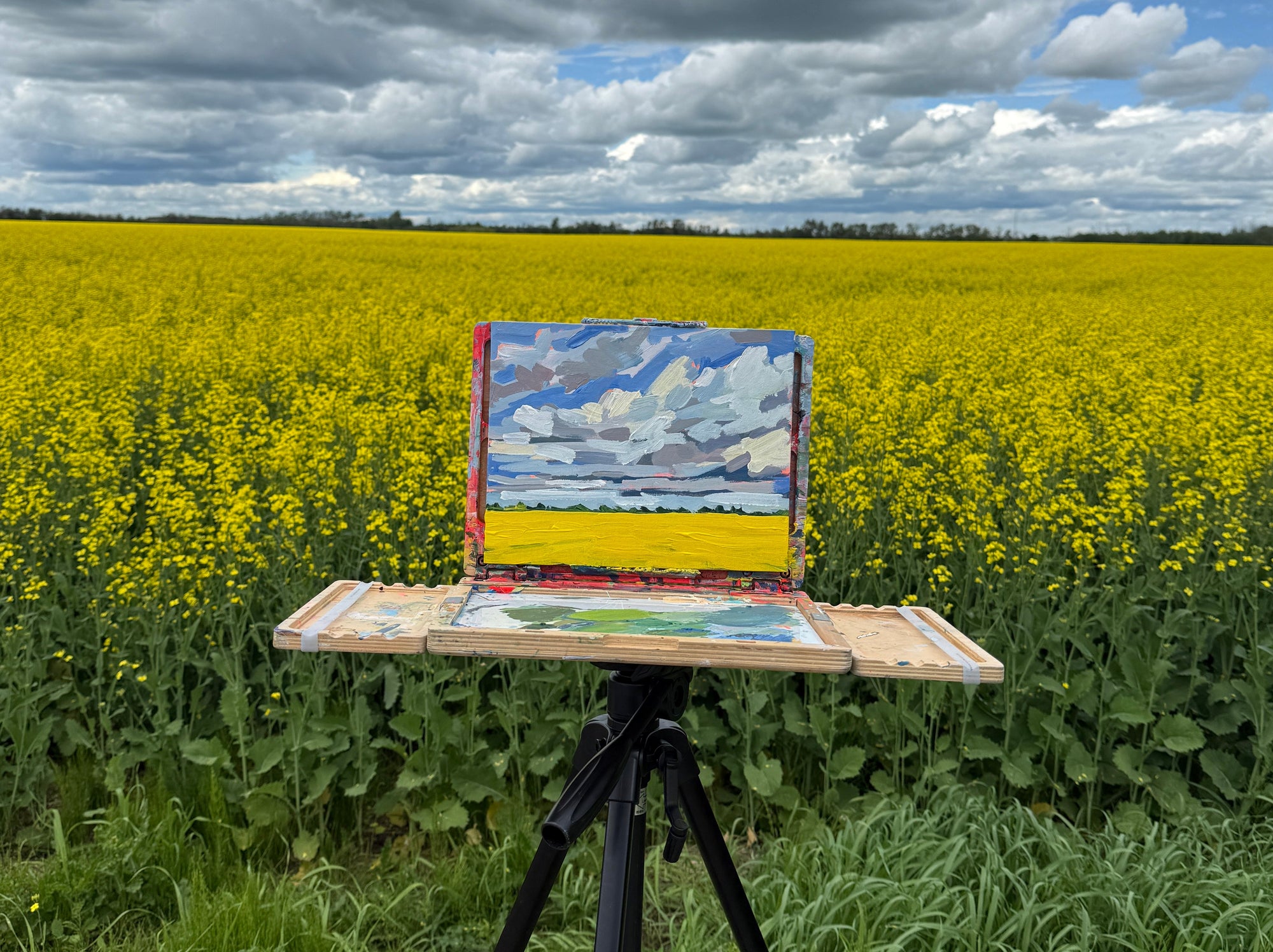 What’s in My Plein Air Painting Kit