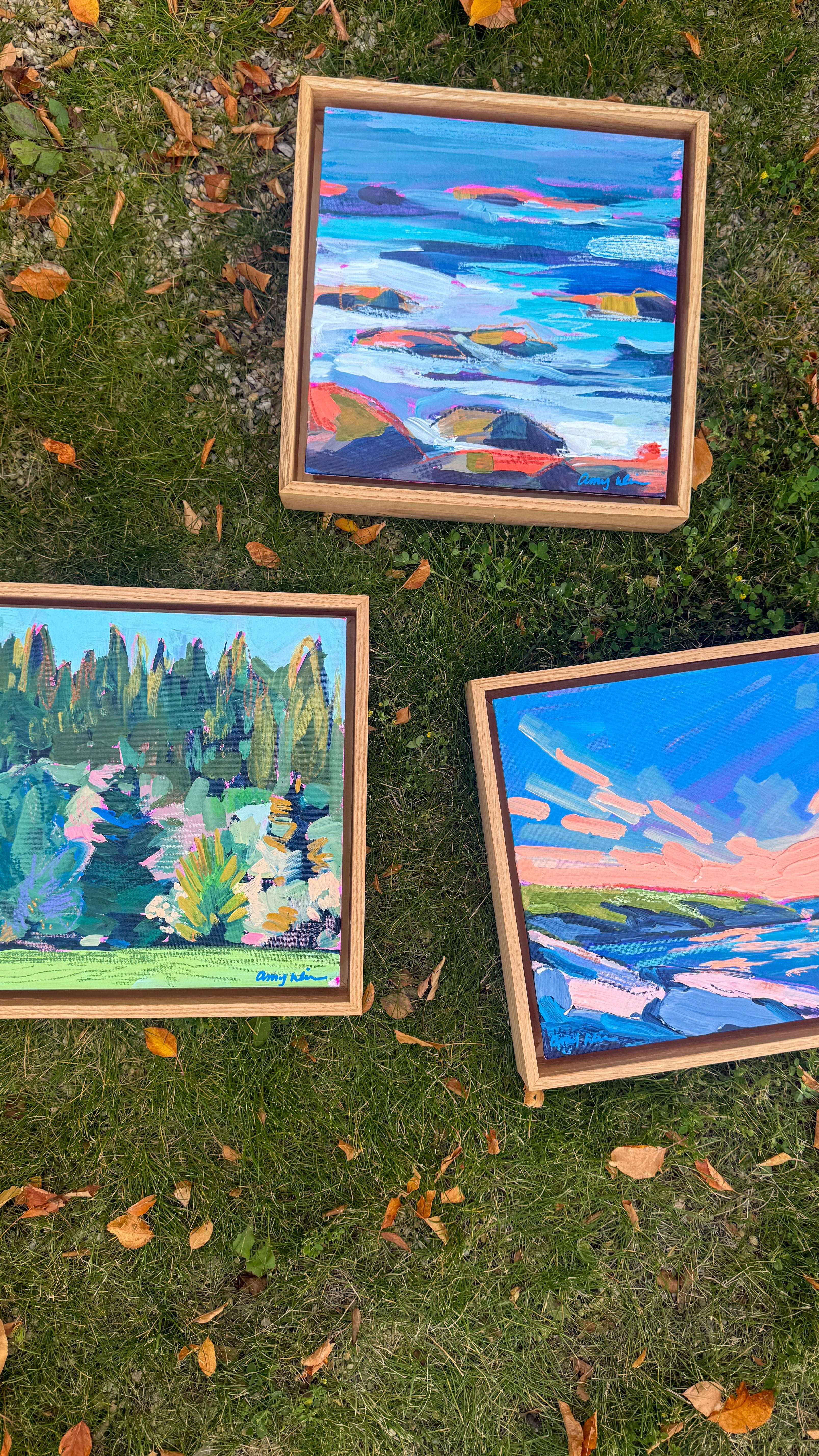 Field Notes Artist Field Notes – Amy Dixon Art
