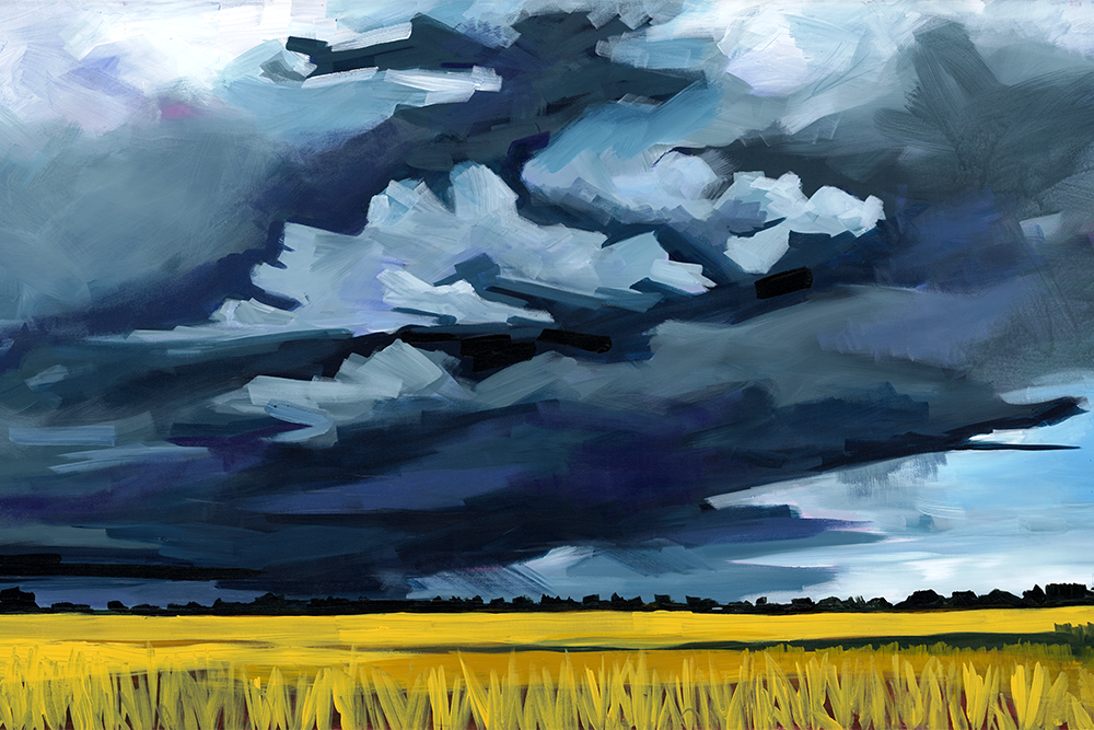 Canola Storm | Fine Art Print