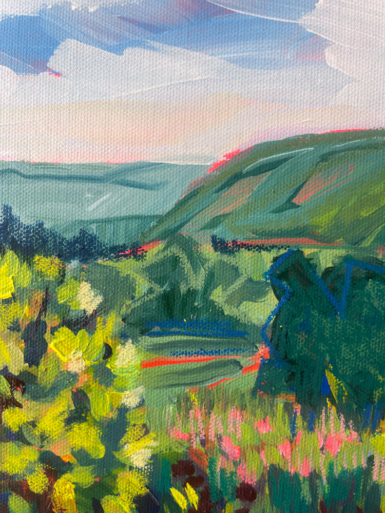 Cape Breton Backyard, 8x10