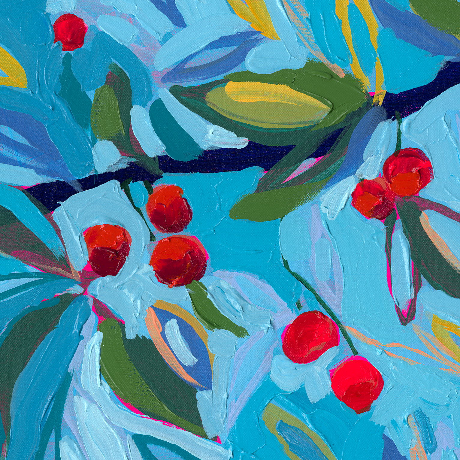 Cherry Glow | Fine Art Print