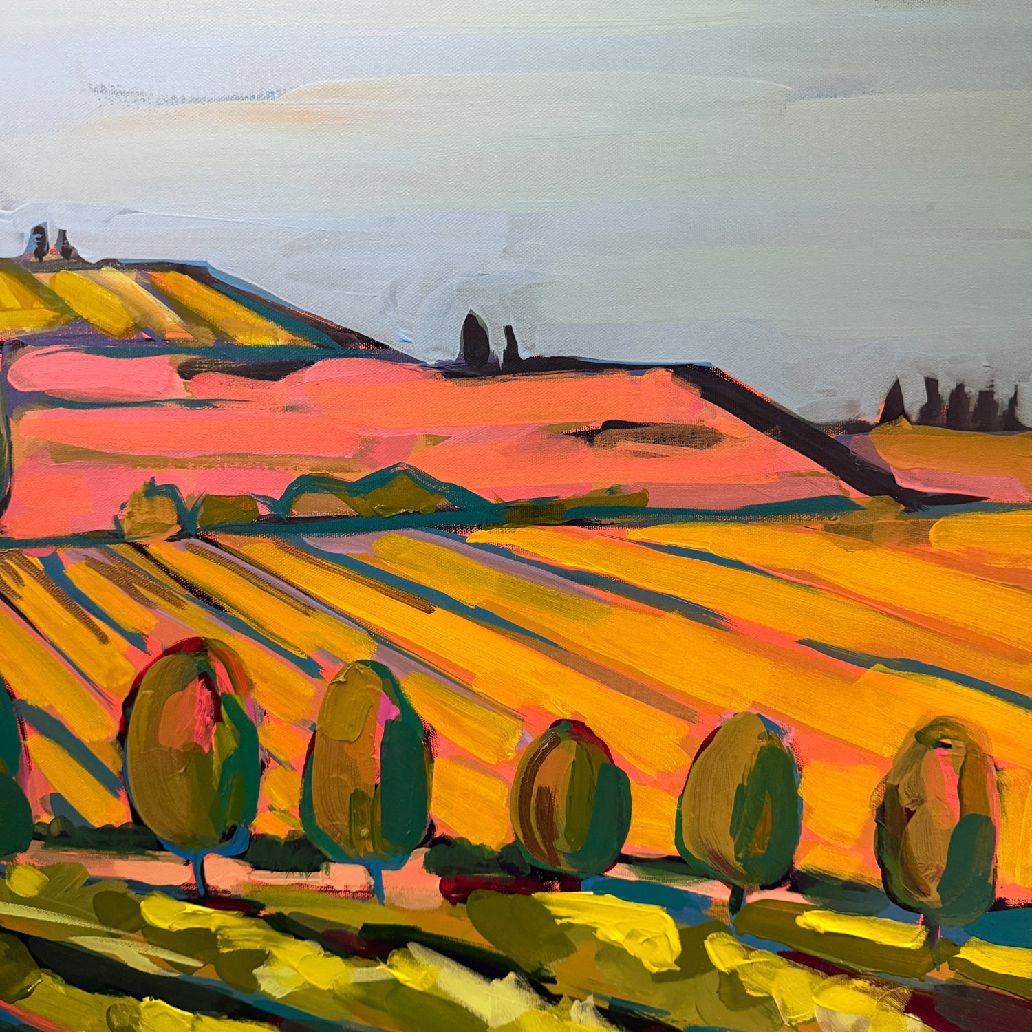 Golden Rows, 60x36