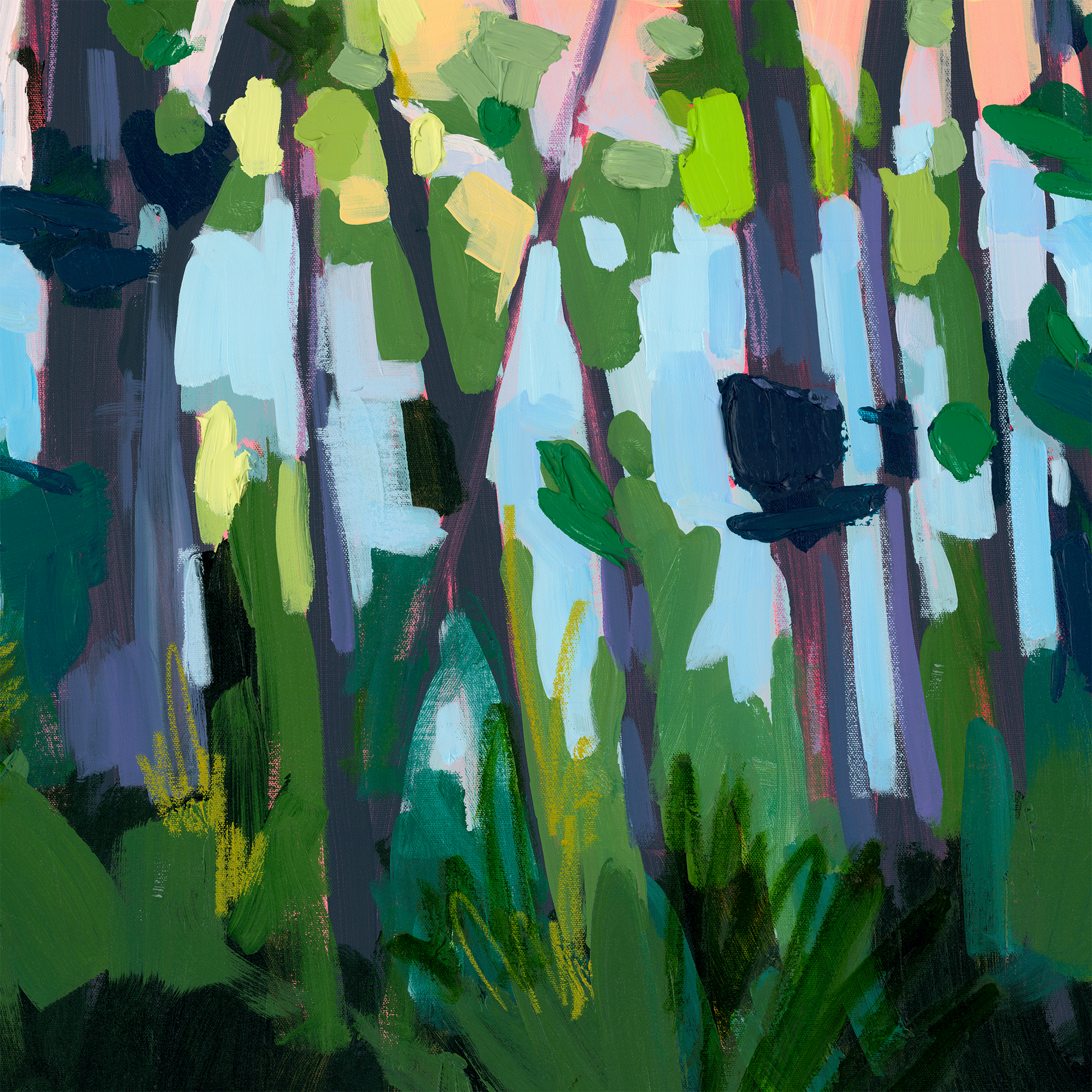 River Valley Glow | Fine Art Print