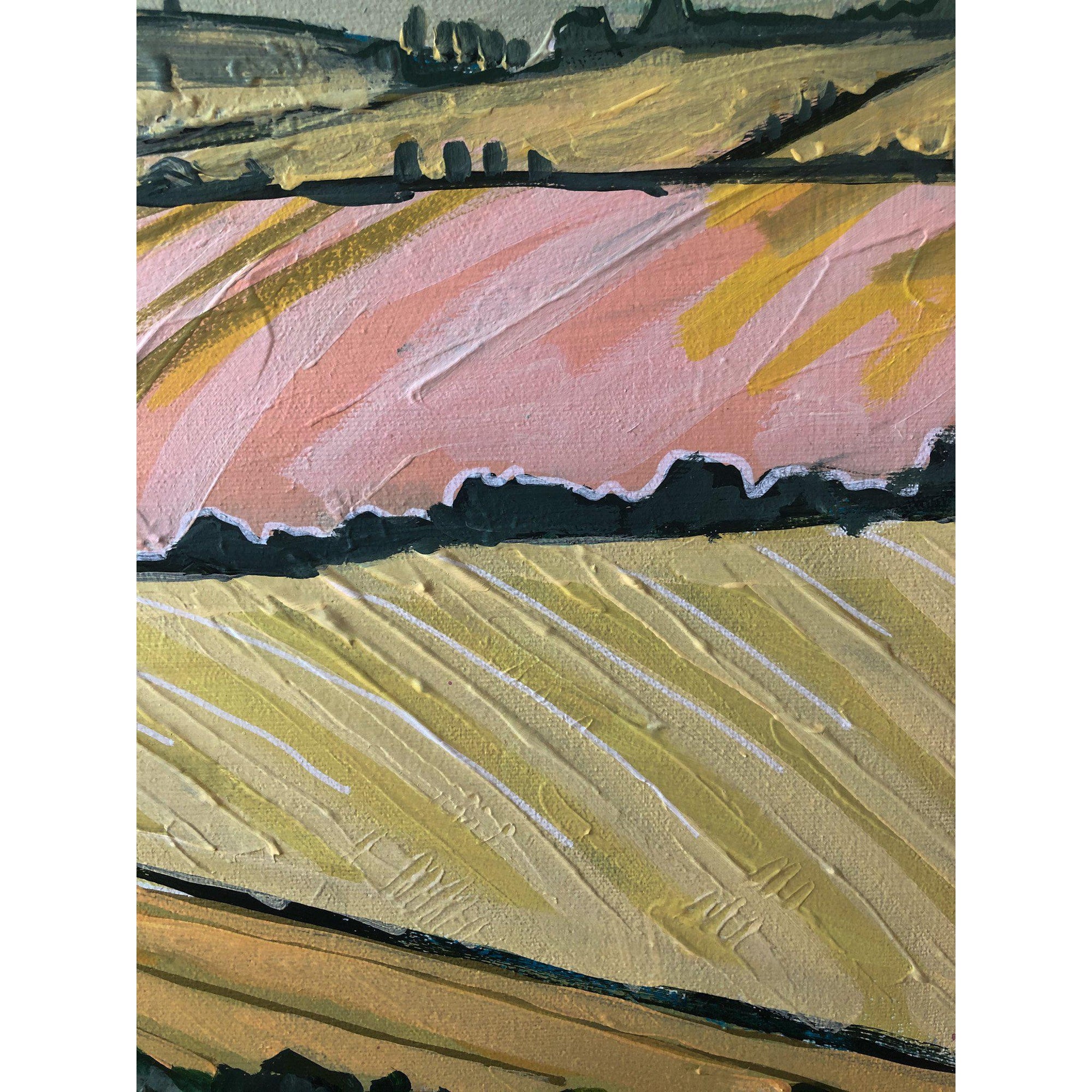 Amy Dixon art artist edmonton alberta prairie landscape canola field clouds