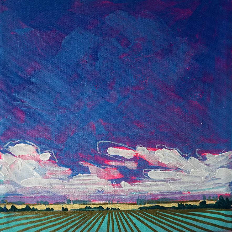 Amy Dixon art artist edmonton alberta prairie field