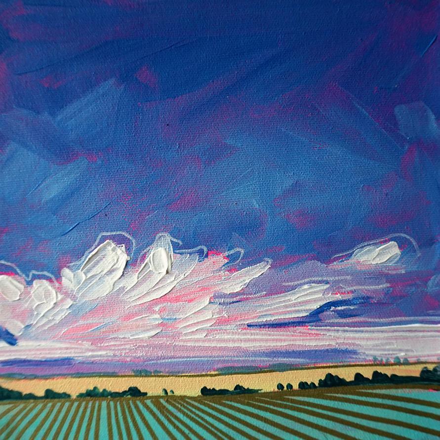 Amy Dixon art artist edmonton alberta prairie field