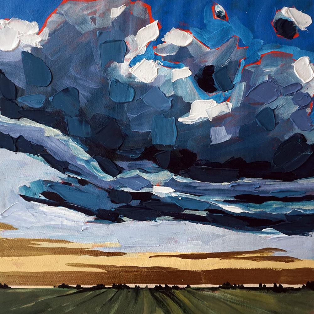 Amy Dixon art artist edmonton alberta prairie field