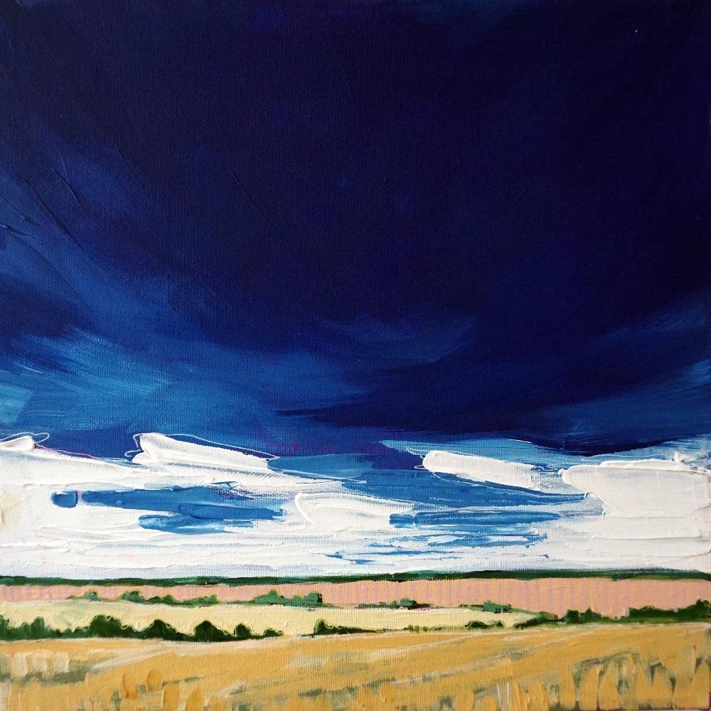Amy Dixon art artist edmonton alberta prairie field